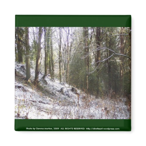 Snowy Sunlit Forest Glade magnet
