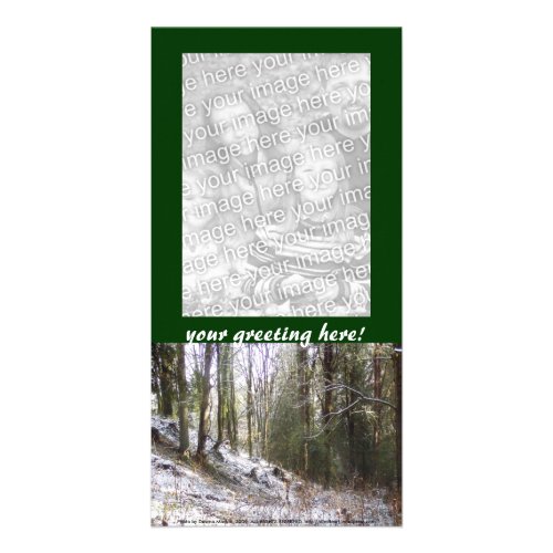 Snowy Sunlit Forest Glade photocard