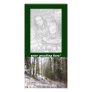 Snowy Sunlit Forest Glade Photo Card Template