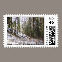 Snowy Sunlit Forest Glade stamps