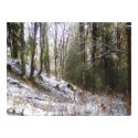 Snowy Sunlit Forest Glade posters
