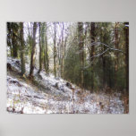 Snowy Sunlit Forest Glade posters
