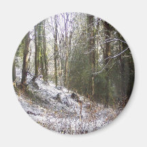 Snowy Sunlit Forest Glade Refrigerator Magnet
