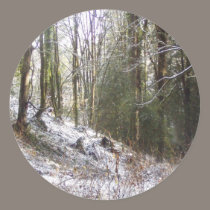 Snowy Sunlit Forest Glade stickers