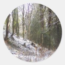 Snowy Sunlit Forest Glade Round Sticker