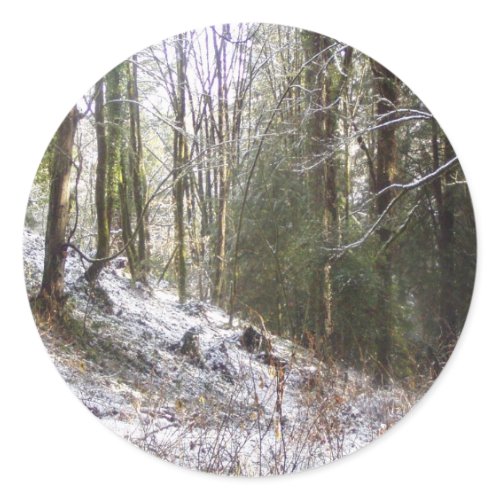 Snowy Sunlit Forest Glade sticker