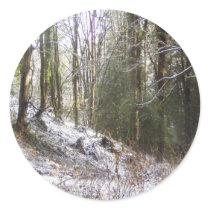 Snowy Sunlit Forest Glade stickers