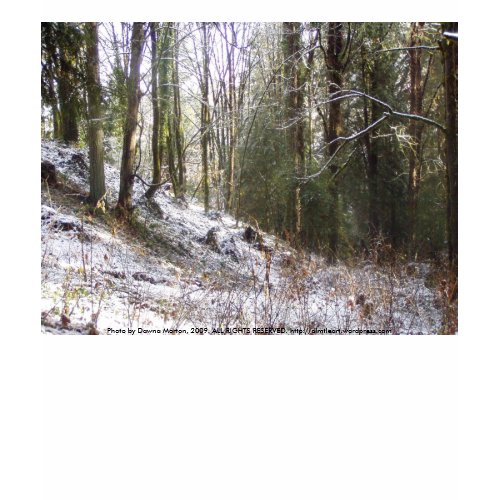 Snowy Sunlit Forest Glade shirt
