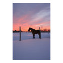 Snowy Sunrise Print