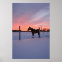 Snowy Sunrise Print
