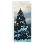 Snowy Sunset Customized Rack Card