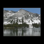 Snowy Tenaya Lake Postcard