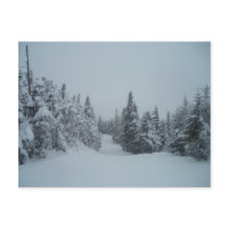 Snowy Trail postcards