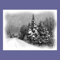 Snowy Trail posters