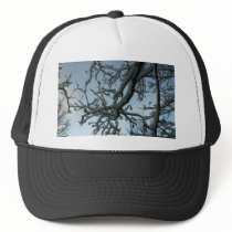 Snowy Tree Branch hats