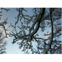 Snowy Tree Branch photo sculptures