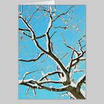 Snowy Tree cards