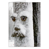 Snowy Tree Face cards by Trudy2 Snowy Tree Face cards