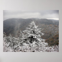 Snowy Tree Posters