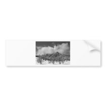 Snowy Trees And The Flatirons Boulder Colorado BW Bumper Stickers