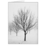 Snowy Trees (Blank) Cards