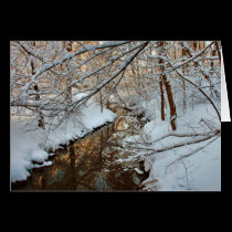 Snowy Trees  card cards