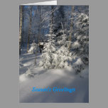 Snowy  Trees cards