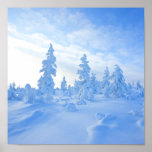 snowy trees in Lapland in Finland Posters