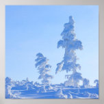 snowy trees in Lapland in Finland Print