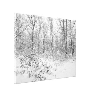 Snowy Trees in the Poconos Canvas Prints