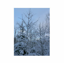 Snowy Trees photo sculptures