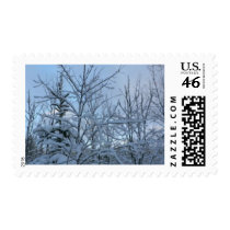 Snowy Trees postage by lifesphere Snowy Trees postage