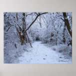 Snowy Tunnel Posters