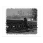 Snowy View-Bow Bridge in Central Park Postcard
