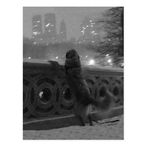 Snowy View from Bow Bridge-Central Park Postcard
