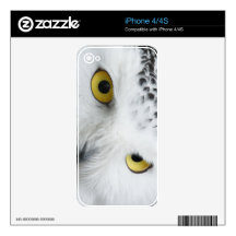 Snowy White Owl with Piercing Eyes Decals For iPhone 4S
