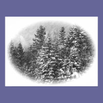 Snowy Winter posters