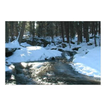 Snowy Winter Stream posters