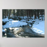 Snowy Winter Stream posters
