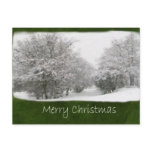 Snowy Winter Trees and Shrubs - Merry Christmas
