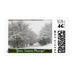Snowy Winter Trees and Shrubs