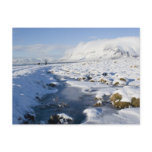 Snowy Winterland Postcards