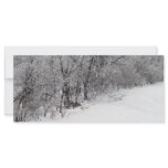 Snowy Woods Photo Bookmark Personalized Rack Card