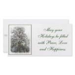 Snowy Xmas Trees in a Winter Wonderland Forest Photo Cards