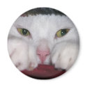 Snug As a Bug Magnets by kerstitch Snug As a Bug Magnets