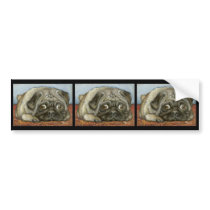 Snug pug bumper stickers by tanyabond Snug pug bumper stickers