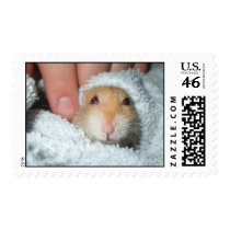 Snuggle Bug Postage postage