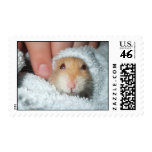 Snuggle Bug Postage