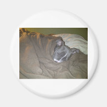 Snuggle Face is knocked out Refrigerator Magnet