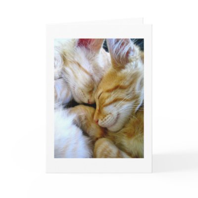 Snuggle Kittens Card by thehatch